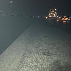 なかなかアオリイカが釣れません