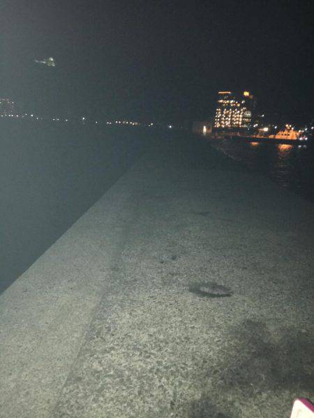 なかなかアオリイカが釣れません