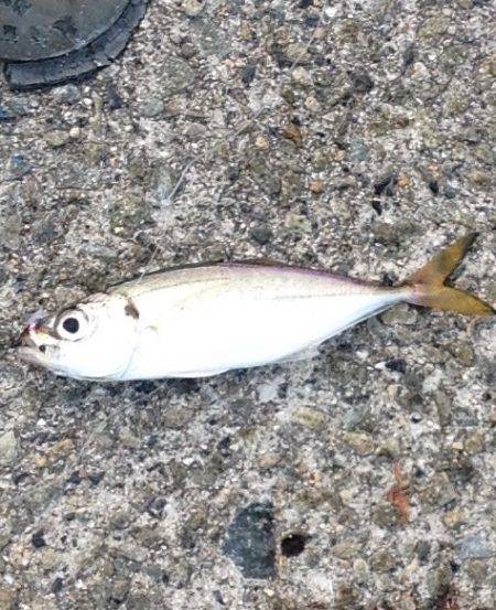 状況は良かった…