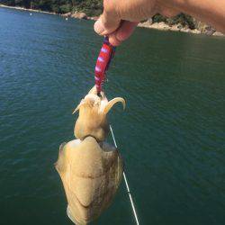 マイボートエギング