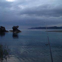 セイゴメッキ遊び