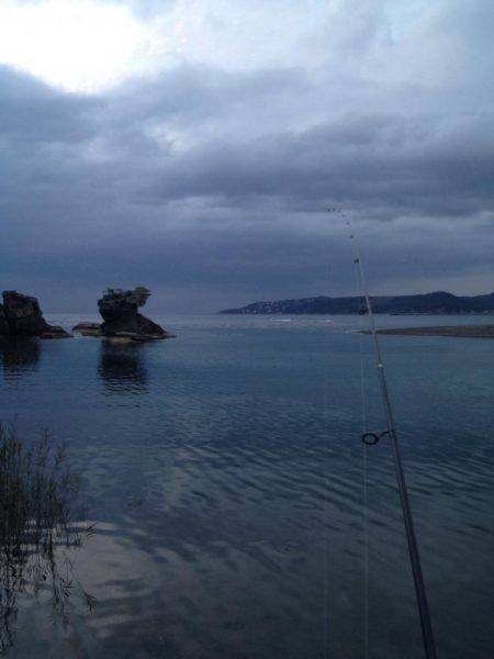 セイゴメッキ遊び