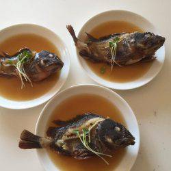 北公園 タチウオ オオアジ