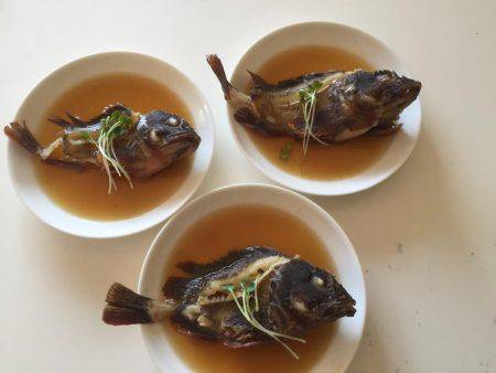 北公園 タチウオ オオアジ