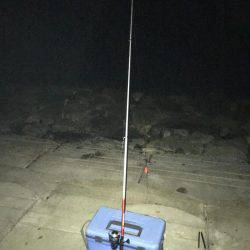 二反田で夜釣り