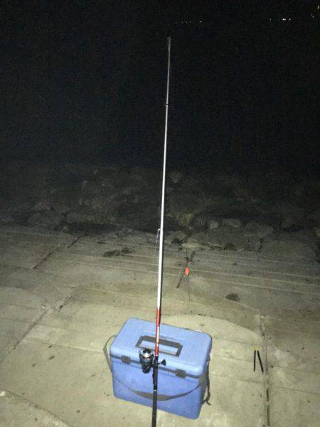 二反田で夜釣り