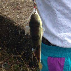 クーラーボックス空っぽやけど…