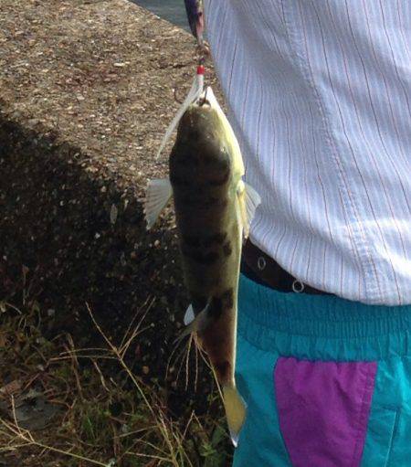 クーラーボックス空っぽやけど…