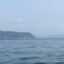 オフショアの釣り