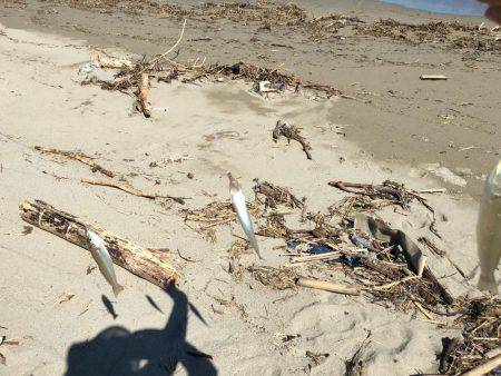 夏の終わりにちょい投げ