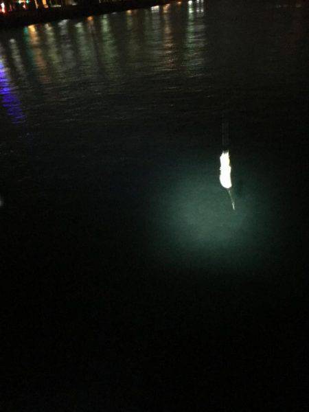 奈良より釣ーリング（バイク釣行）