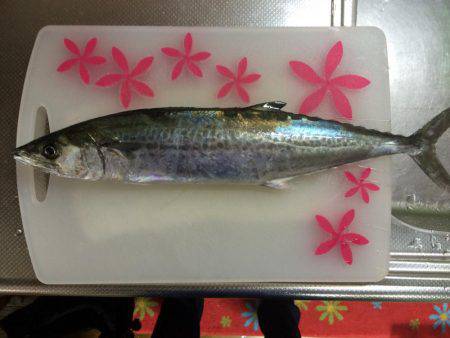 ルアーロスト後の辛勝