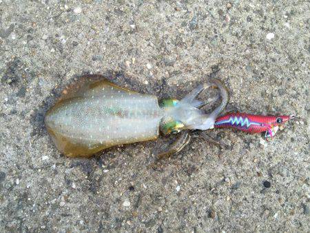 久々の夜間釣り