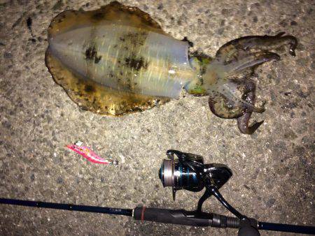 久々に仕事帰り