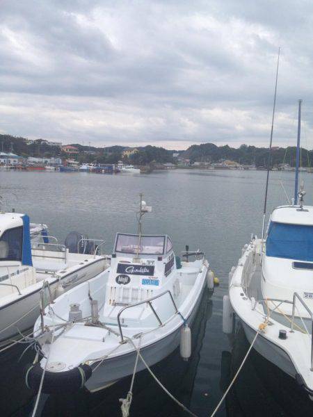 サビキでアジ！