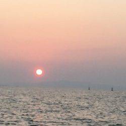 久しぶりでしたが