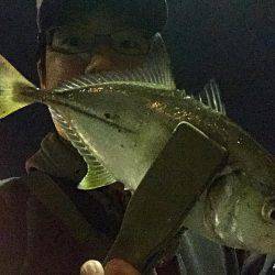 北風太刀 湾奥メッキ