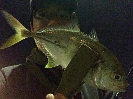 北風太刀 湾奥メッキ