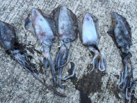 ファミリー釣行