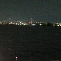 久しぶりの夕まずめ調査