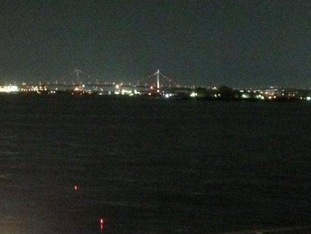 久しぶりの夕まずめ調査