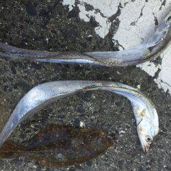 南港でまさかの