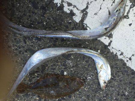 南港でまさかの