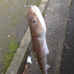 ボウズだけは勘弁してもらえた