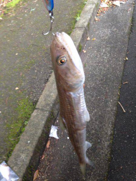 ボウズだけは勘弁してもらえた