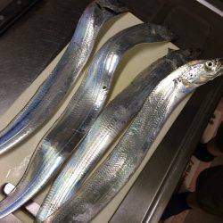 オンスのフラップ講習会にて！