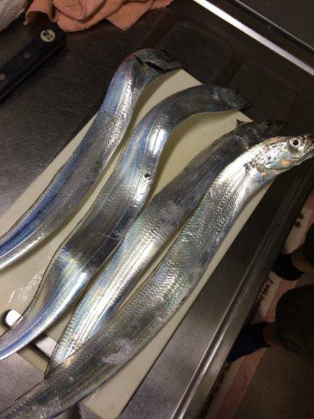 オンスのフラップ講習会にて！