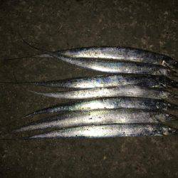 連夜の毎投アタリ