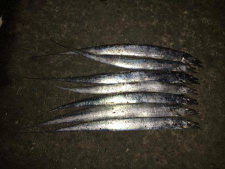 連夜の毎投アタリ