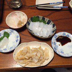 遂に！初アオリイカ