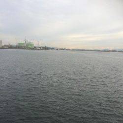 久しぶりのデカタチ