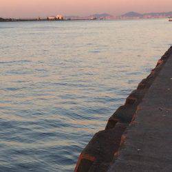 久しぶりのタチウオ