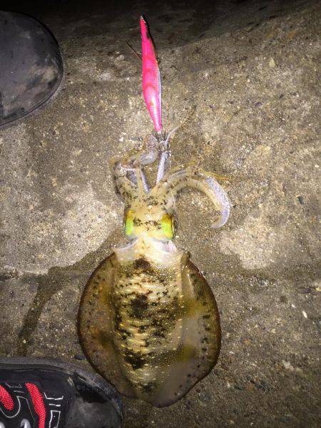 満足サイズが出ない！？