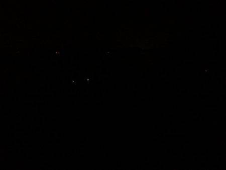 アオリイカのつもりが