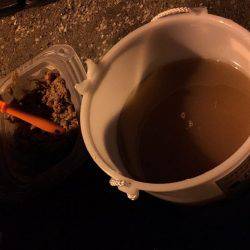 アジング&サビキ&泳がせ！