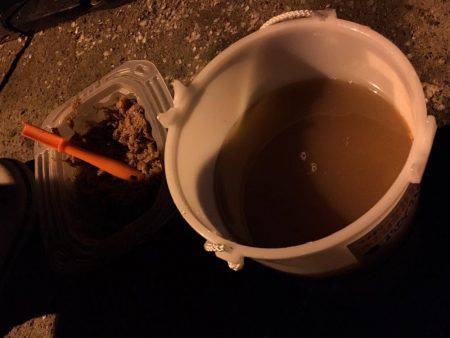 アジング&サビキ&泳がせ！