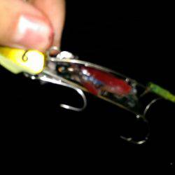 コスモスクエアで太刀魚