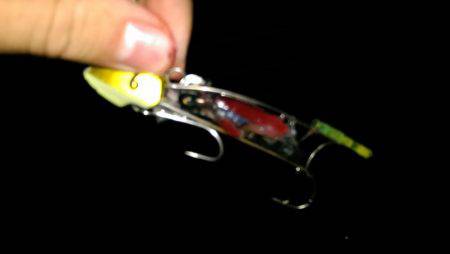 コスモスクエアで太刀魚