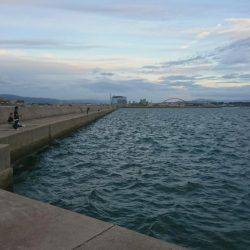 10月の連休に海に出て連日、海のギャングを求めて旅に出てみた。