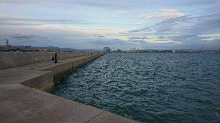 10月の連休に海に出て連日、海のギャングを求めて旅に出てみた。