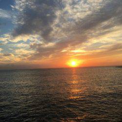 豪雨の海上釣り堀、大人の金魚すくい