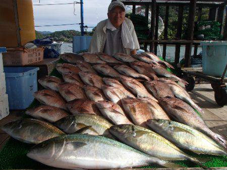 カタタのつり堀 釣果
