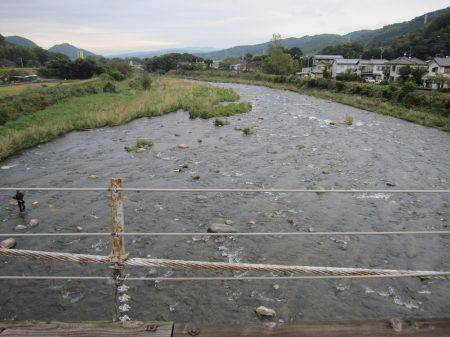 狩野川(狩野川漁業協同組合) 釣果