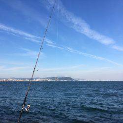 ショアジギング