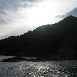 舞鶴東部アオリイカ7杯！