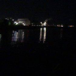 河口でちょい投げ